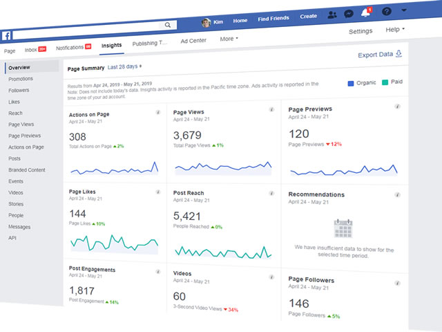 Facebook Analytics showing overview page