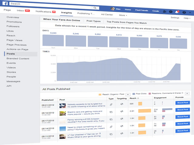 Facebook Analytics showing posts performance page